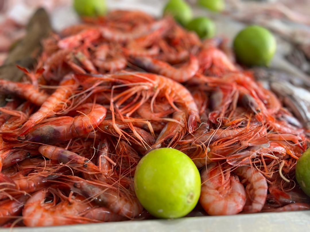 Seafood Variety